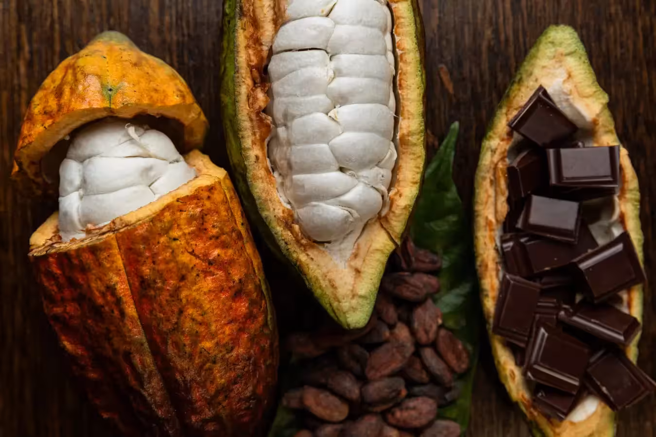 Cocoa and Coffee, our love of beans with caffeine